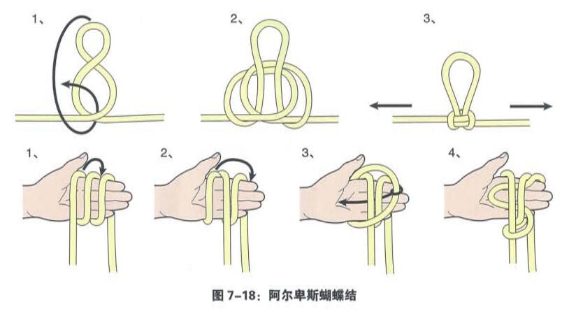 阿爾卑斯蝴蝶結.jpg 阿爾卑斯蝴蝶結.jpg